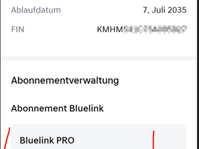 Bluelink Abo Öster. EZ 12/2025